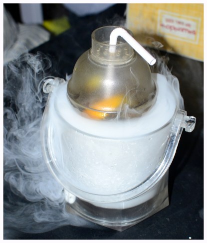 Long Island Ice Freeze (LIIT)