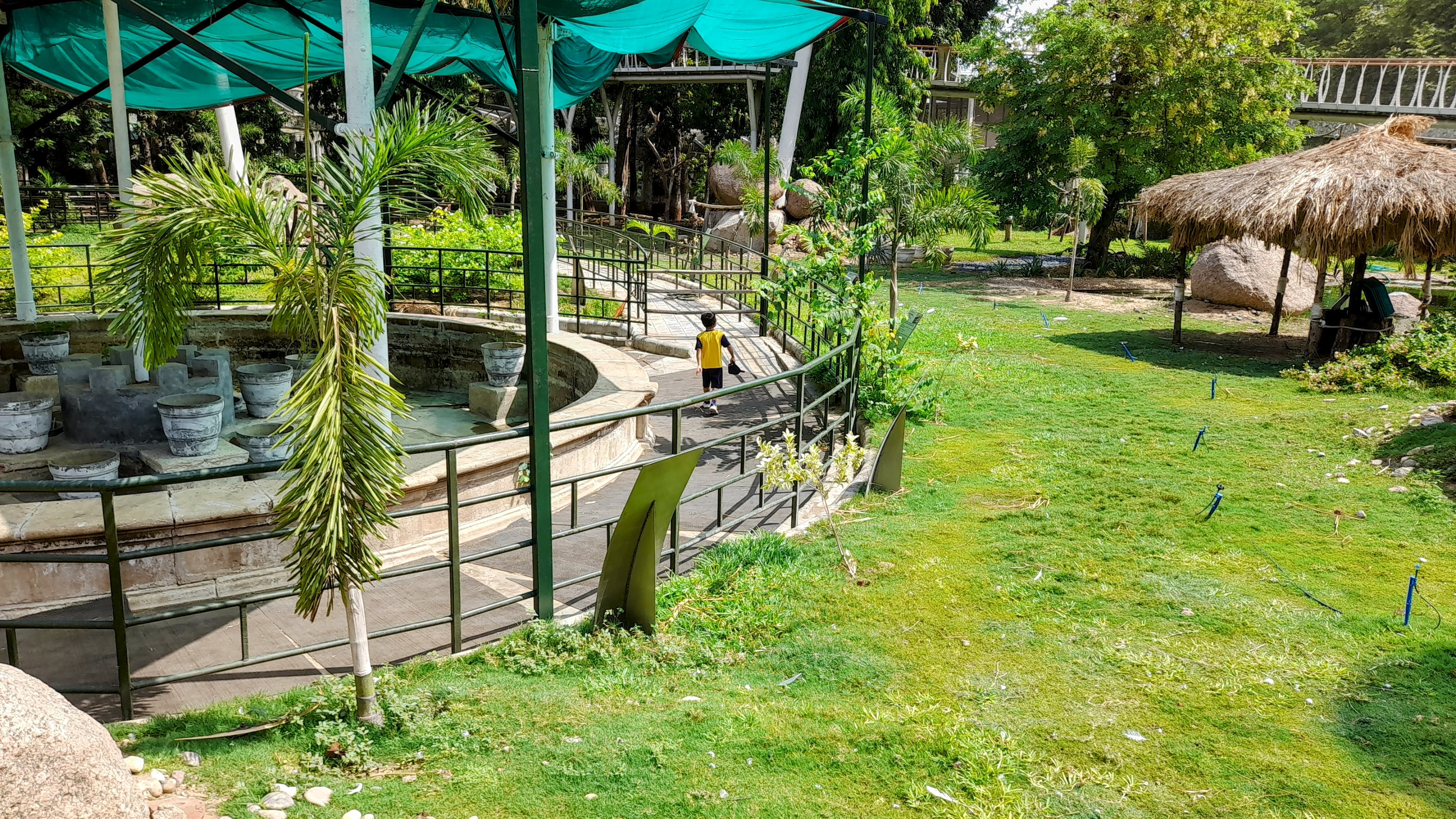 Section of Aviary for flying birds.