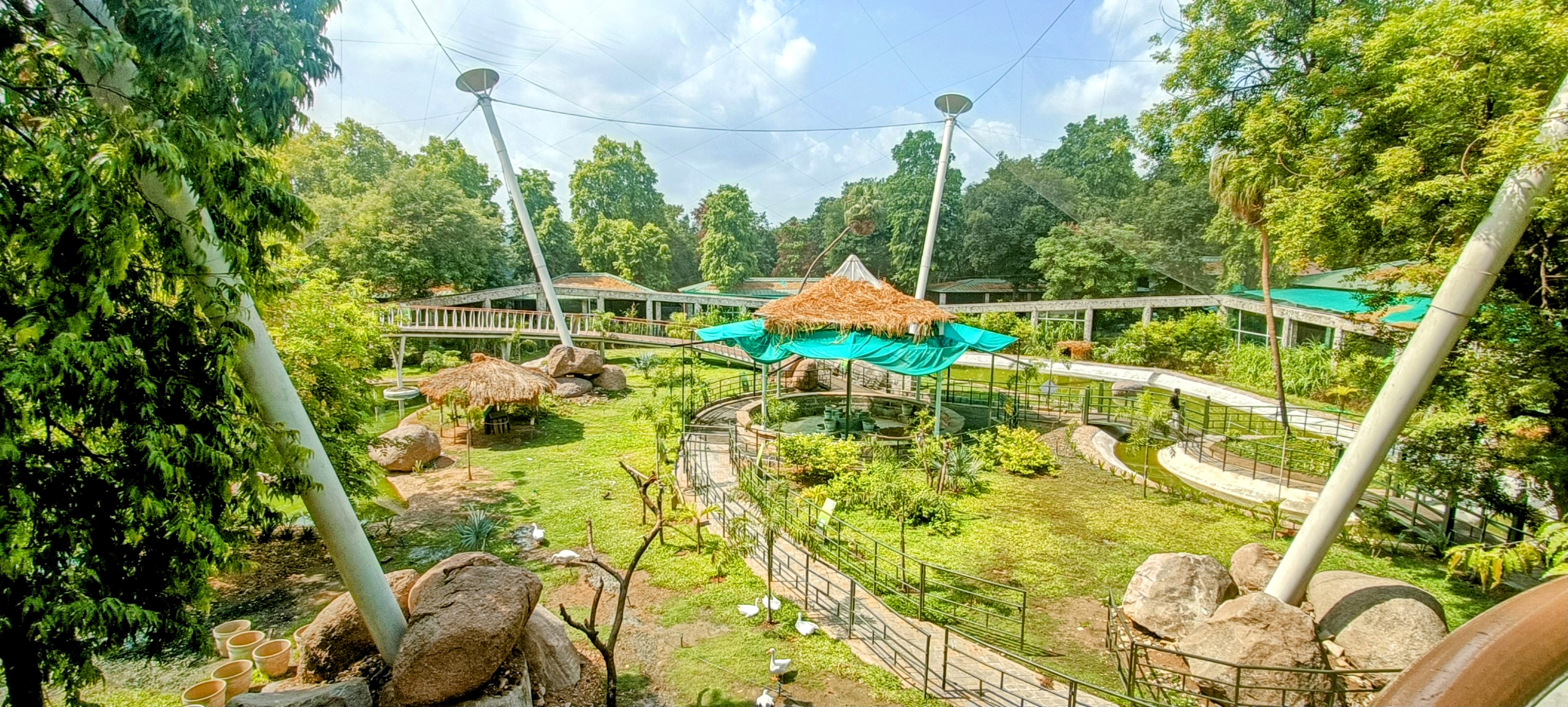 Vadodara Sayaji Baug Zoo Bird Aviary